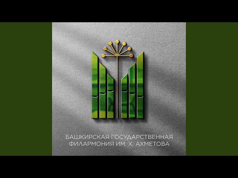 Рустем Шагбалов - Һинең өсөн видео (клип)