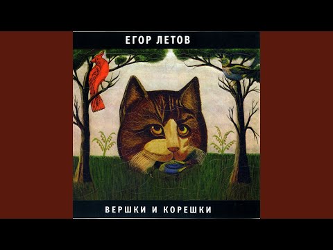 sovis - Всё не то видео (клип)