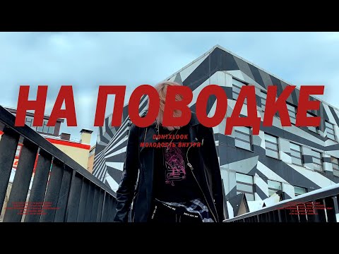 dontxlook, Молодость внутри - На Поводке видео (клип)