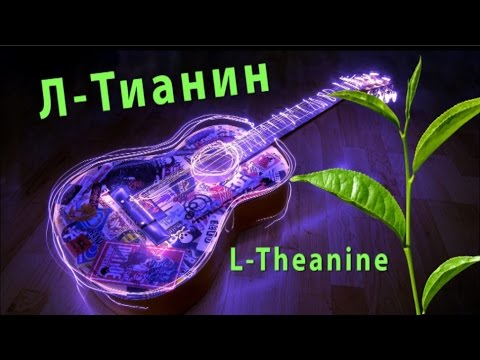 зейм., TheFine - Внимание видео (клип)