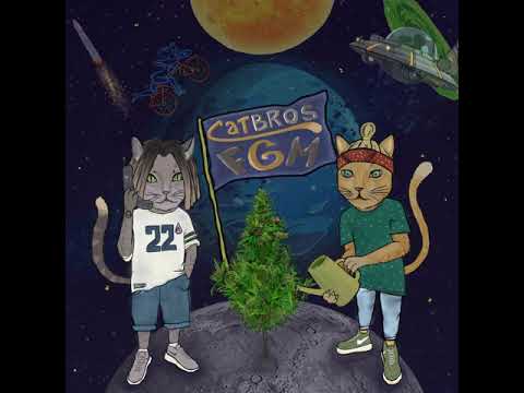 CATBRO$ - Улететь быстрей видео (клип)