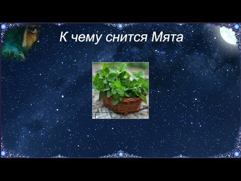 Мята - Сон  видео (клип)