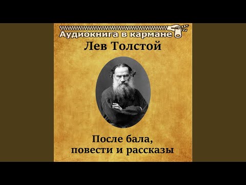 Аудиокнига в кармане, Алиса Коонен - Чайка, Чт. 6 видео (клип)