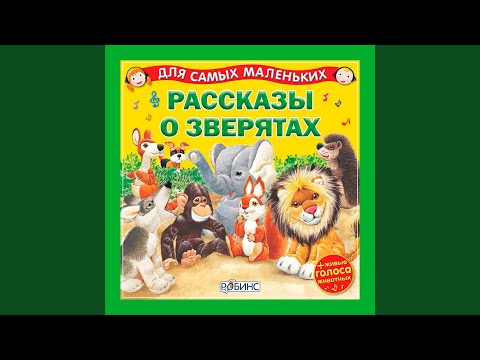 Светлана Силантьева - Отчего волк воет видео (клип)