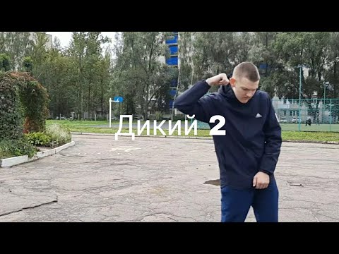 ВЛАДОС ПОЛТОС, Maks Roader - Дикий видео (клип)