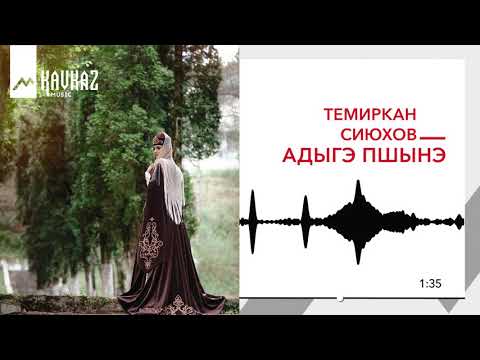 Темиркан Сиюхов - Адыгэ пшынэ (Адыгская гармонь) видео (клип)