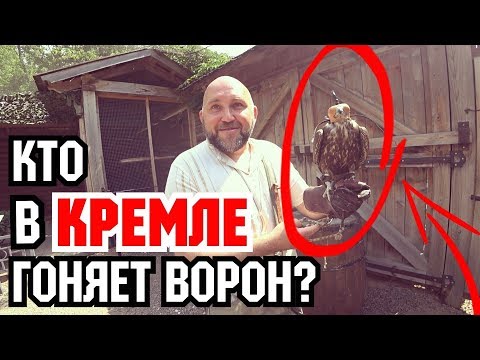 Sokol, VORON - Скит 4 видео (клип)