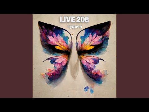 Live 208 - Чудеса видео (клип)