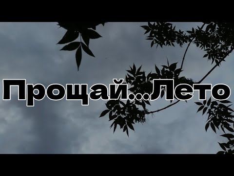 пикачу ПИКАЧУХ - Прощай...Лето видео (клип)