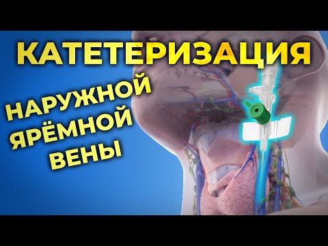 159, TRAXY - Правильно Понял видео (клип)