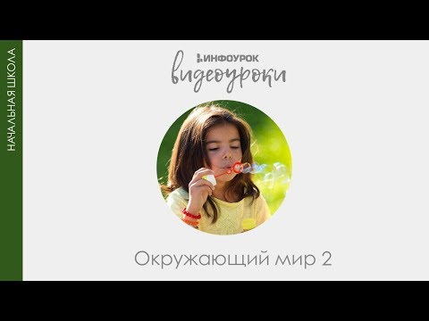 Мира - Воздух видео (клип)