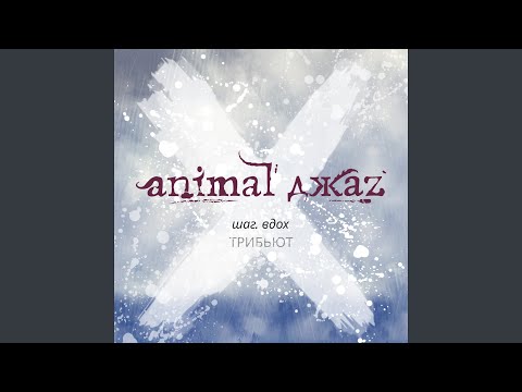 Animal Jazz, Alai Oli - Три полоски видео (клип)