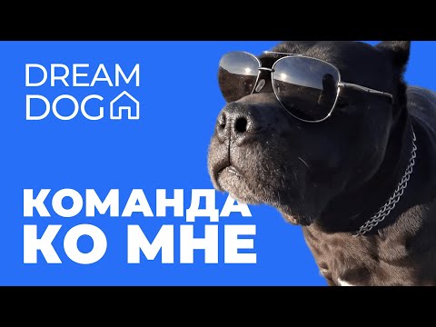 how me - Ко мне видео (клип)