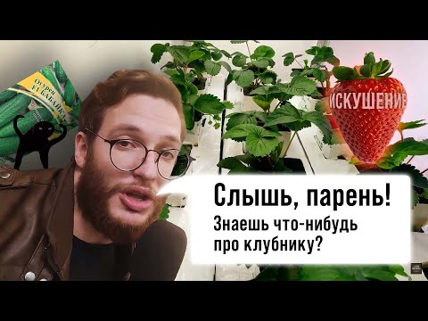 Go Gwop - Клубника видео (клип)