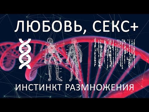 закрытыйкосмос, KULBA - Инстинкт размножения видео (клип)