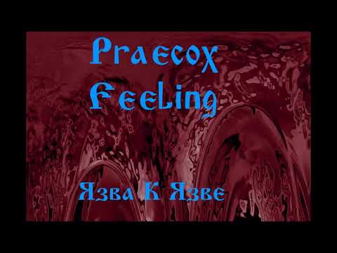 praecox feeling - Содом видео (клип)