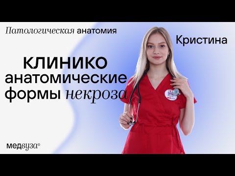 Некроз, glebque - На районе окна горят видео (клип)