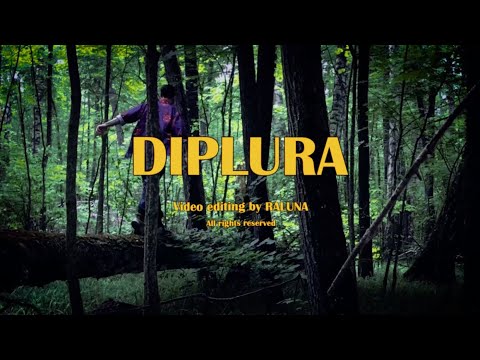 Diplura - Вещества видео (клип)