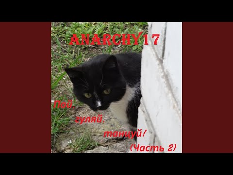 Anarchy17 - Два Вовы видео (клип)