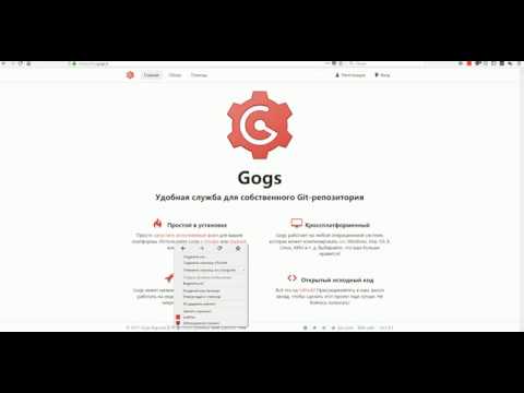 GOGS - В сети видео (клип)