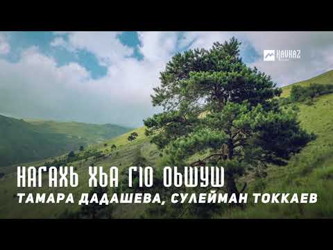 Тамара Дадашева, Сулейман Токкаев - Нагахь хьа гlо оьшуш видео (клип)