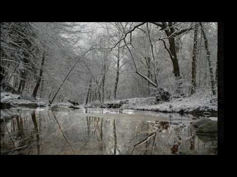 The Raveonettes - The Christmas Song видео (клип)