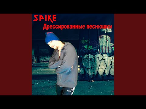 Spike - Пейдей видео (клип)