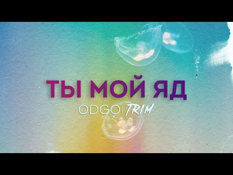 D-V-R - Ты мой яд видео (клип)