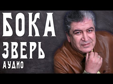 Boris - Дорогой Зверь видео (клип)