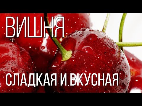 Вишня - Растения видео (клип)