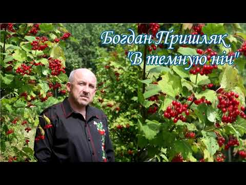 Богдан Пришляк - В Темную Ніч видео (клип)