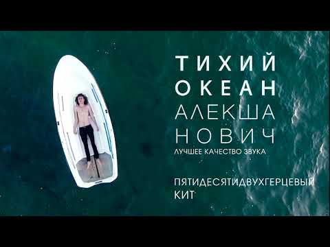 Алекша Нович - Пятидесятидвухгерцевый кит видео (клип)