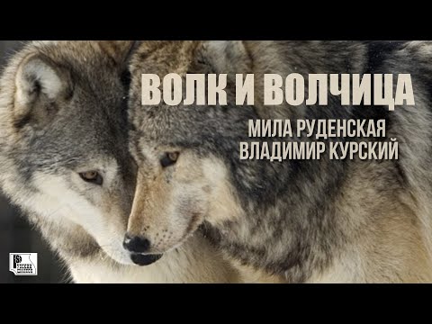 Мила Руденская, Владимир Курский - Волк и волчица видео (клип)