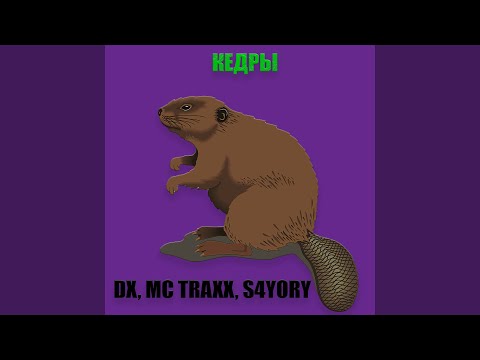 Dx, MC TRAXX, S4YORI - Кедры видео (клип)