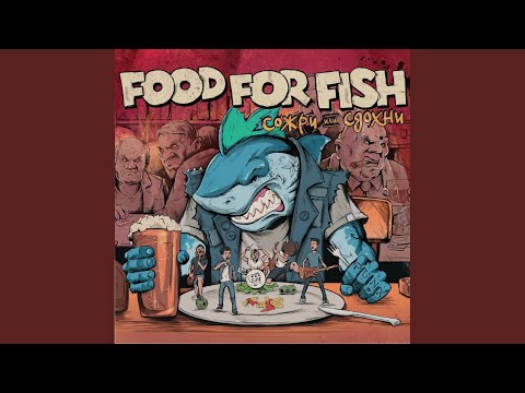 FOOD FOR FISH - Начало видео (клип)