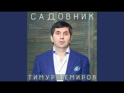 Тимур Темиров - Ты королева видео (клип)