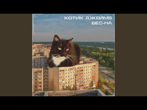 Котик ДжеймS - Вес-на видео (клип)