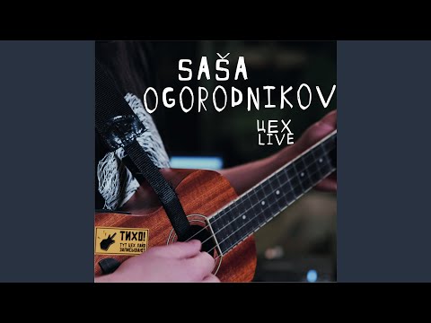 саша огородников - Аутро (Live) видео (клип)