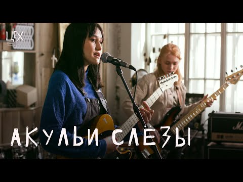 Акульи Слезы - идеальный обман видео (клип)