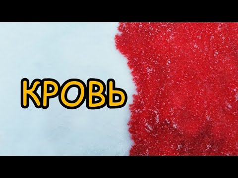 мертвые сны - Кровь в ванн видео (клип)