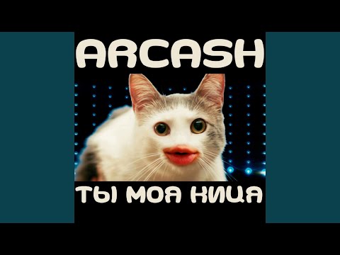 Arcash - Ты моя киця видео (клип)