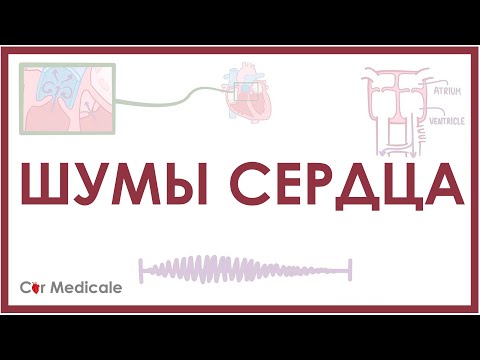 WolDan - Звуки в сердце видео (клип)