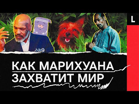 ПРОЕКТ ГАНГРЕНА - Нужен легалайз (prod. by Touch32) видео (клип)