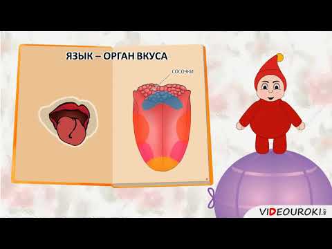 Оникс - Органы чувств видео (клип)