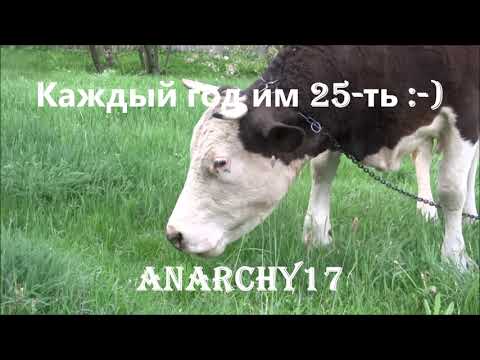 Anarchy17 - Каждый год им 25-ть! видео (клип)