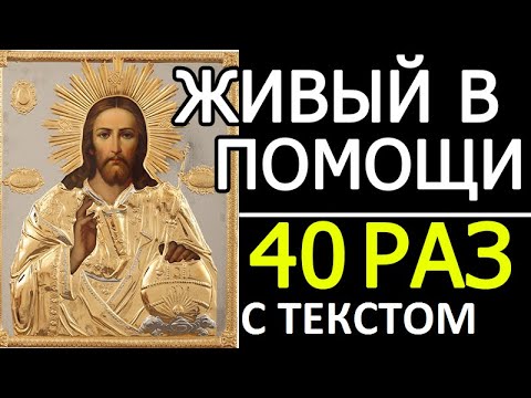 Kempel - 40 раз видео (клип)