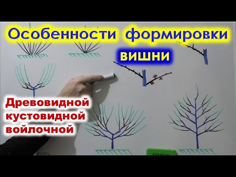 Компаунд - Старая вишня видео (клип)