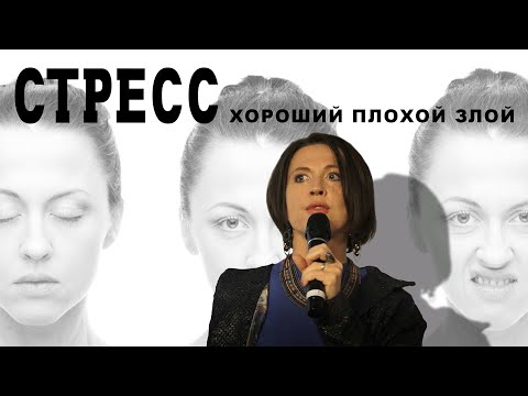 SMEKHV, TVA - Все от стресса видео (клип)