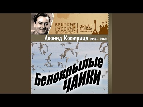 Леонид Кострица - Студенческий вальс II видео (клип)