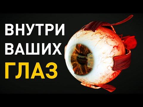 закрой глаза - новый организм видео (клип)